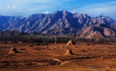 多省多地正高度关心人工智能赋能文旅高质